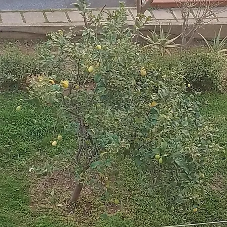 Casa Dei Nonni Διαμέρισμα *
